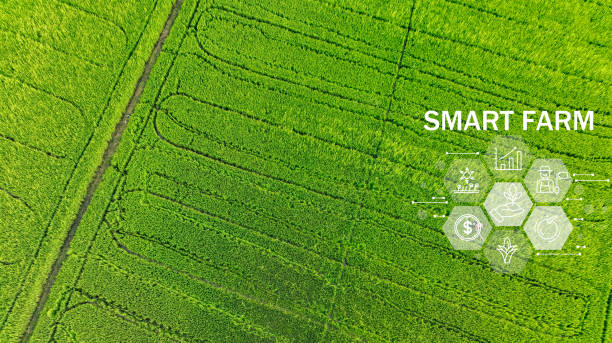 istock Smart farm advanced technology for enhanced productivity and quality in modern farming practices. Innovative sensors and drones optimize crop yields through data-driven precision farming techniques. 2174534598