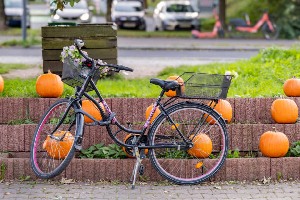 Decorated bicycle in front of Halloween pumpkins lining the sidewalk. Traditional celebration concept.