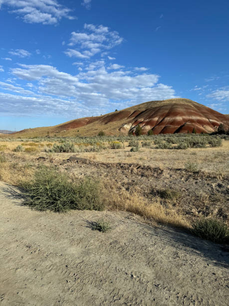 istock painted hills of Oregon 2174547533