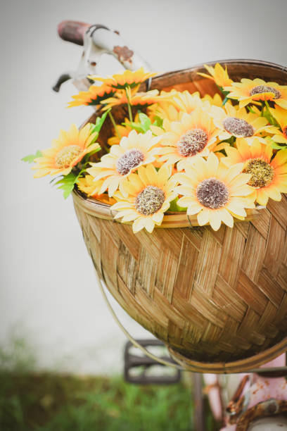 Beautiful Flower background