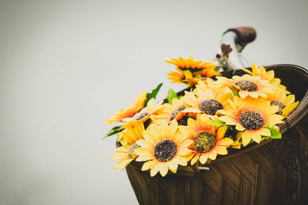 the sunflower in the basket with dramatic tone