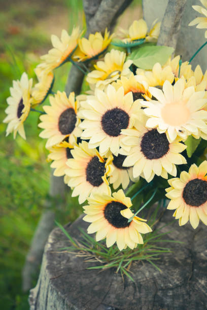 istock the sunflower in the basket with dramatic tone 2174559365