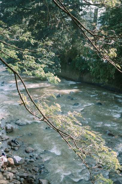 istock Tree branches framing a view of a large river, capturing the serene interplay between nature and water 2174562667