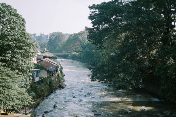 istock Tree branches framing a view of a large river, capturing the serene interplay between nature and water 2174562695