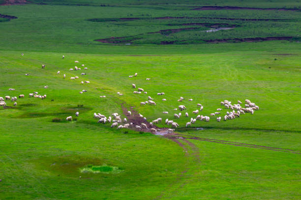Meandering stream with mountains and clouds at The Persembe Plateau at Ordu, Turkey