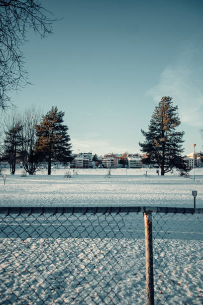 istock Frozen snowy river behind trees in Rovaniemi, Lapland on sunny day 2174566416