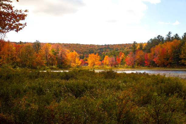 istock Sun spotlight illuminates fall foliage at Morey Pond, New Hampshire. 2174575234
