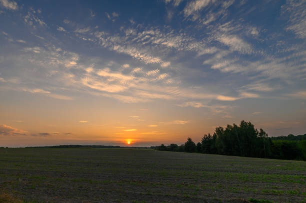 istock Rural landscape, freshly sown fields and sunset 2174581231
