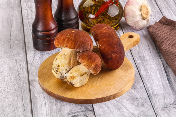 Natural collection of freshly foraged porcini mushrooms displayed in a basket outdoors.
