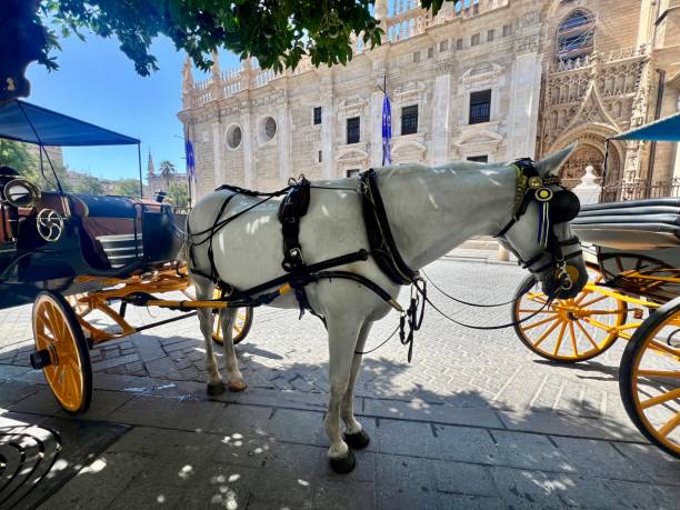 istock Horse and carriage ride 2174589097