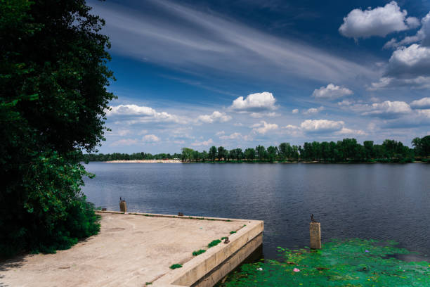 calm summer lake with trees on coast at sunny day