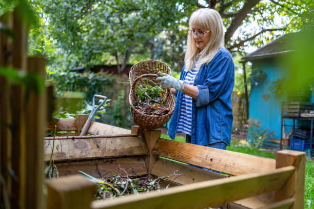 istock Senior woman throwing vegetable scraps into a compost heap in the backyard 2174599150
