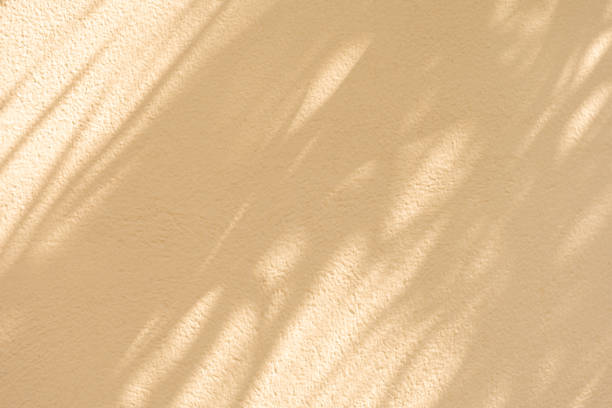 istock Studio style background wall decoration presentation uses white and beige tones. with shadows cast from a nearby window, concept creating a decorative 2174601025