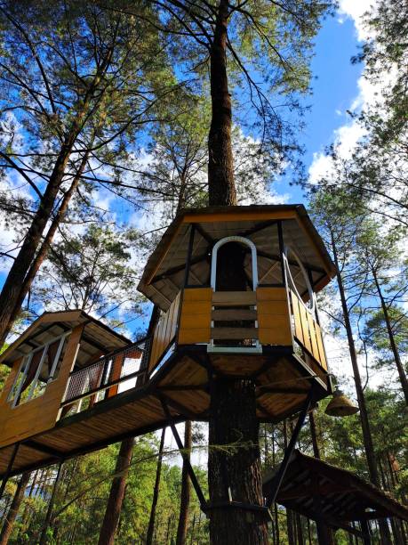 istock Tree house in the middle of the forest 2174601284