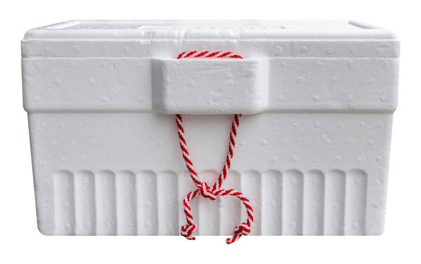 White foam cooler box isolated on white background with clipping path