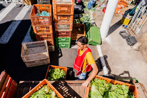Young man unloading boxes with vegetables from a truck for street market
