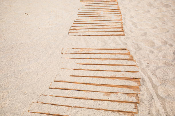 istock Wooden walkway on the sandy beach 2174605883