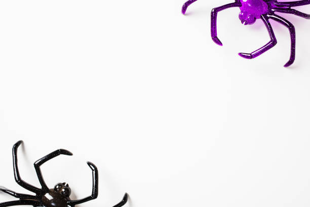 istock Purple and Black Plastic Spiders on White Background. Perfect for Halloween decorations, spooky themes, or phobia illustrations 2174607457