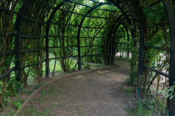 istock view from inside a shady pergola in a park 2174613857