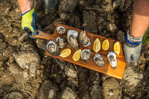 istock Focus on oysters on the beach 2174619940