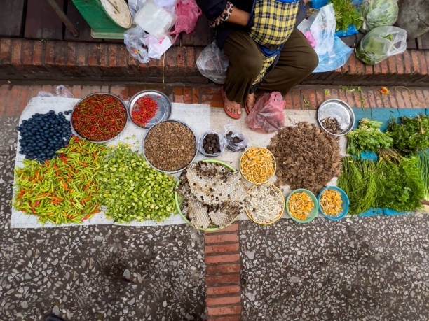 An elevated view of a market stall in Laos in Luang Prabang. There is a good choice of fresh-grown vegetables including chayote, peppers and fresh green chillis and local foods like edible larvae and mushrooms and chanterelle and fresh leafy grown herbs.