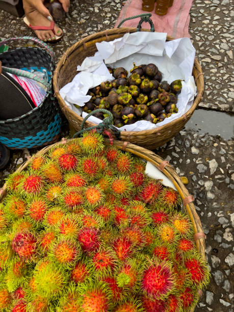 Rambutan and Mangosteen For Sale