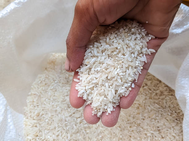 istock A close-up of a hand holding uncooked white rice grains 2174626016