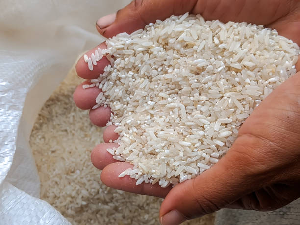 istock A close-up of a hand holding uncooked white rice grains 2174626064
