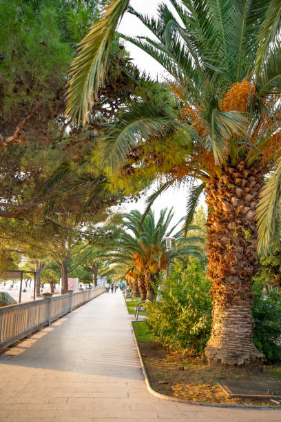 istock Crikvenica, Croatia 2174631572