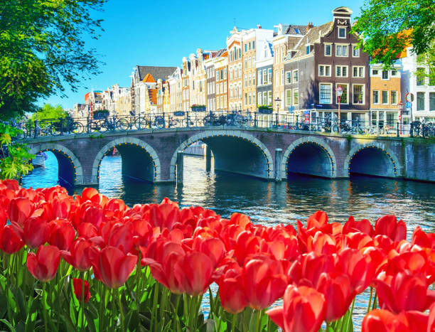 istock Houses and bridge in Amsterdam 2174634323