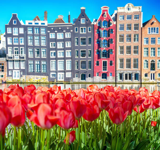 Colorful dancing houses over Amsterdam canal, Netherlands