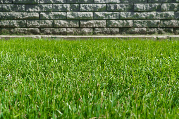 istock stone fence and green grass lawn as background 2174643906
