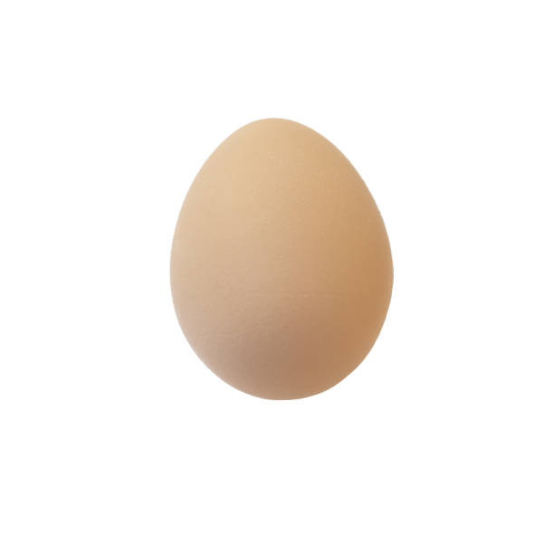 istock Single Natural Chicken Egg Light Brown Color Isolated On White Background In Standing State. Blank for artwork, mockup 2174645290