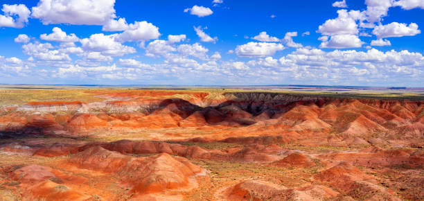 Blue Mesa trail in Petrified Forest National Park, Arizona, USA.