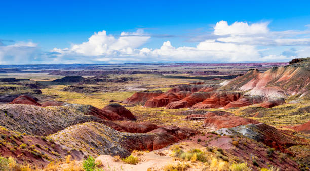 Nizhoni Point at Painted Desert National Park, Arizona