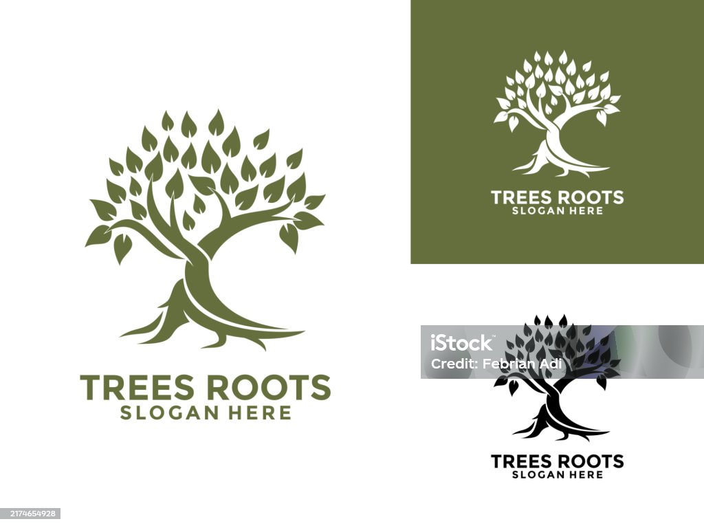 9 Roots Logo Trees And Roots Logo Design Vector Illustration Stock Illustration ...