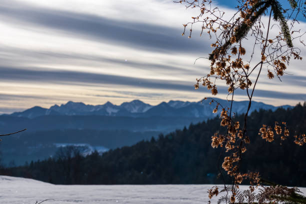 istock Forstsee - Selective focus on tree branch with scenic view of snow capped Karawanks mountain range near Techelsberg, Carinthia, Austria 2174656170