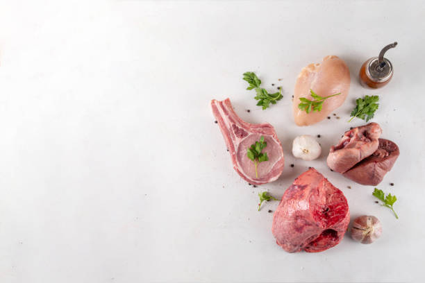 istock Raw meat and alternative sources of animal protein 2174662842