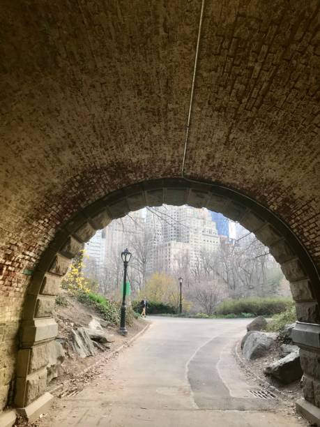 The Serenity of Central Park’s Hidden Archways This captivating view through one of Central Park’s iconic brick archways offers a unique perspective on New York City’s blend of nature and urban life. The archway, with its rustic brick and stone construction, frames a tranquil path that winds through the park’s lush greenery, leading the eye towards the towering skyscrapers in the distance. It’s a testament to Central Park’s design, which provides peaceful retreats and hidden gems like this, offering a moment of calm amidst the hustle and bustle of Manhattan. Whether you're a city dweller or a visitor, these serene passageways serve as a reminder of the park's role as an urban oasis, bridging the gap between nature and the city. new york marathon photos stock pictures, royalty-free photos & images