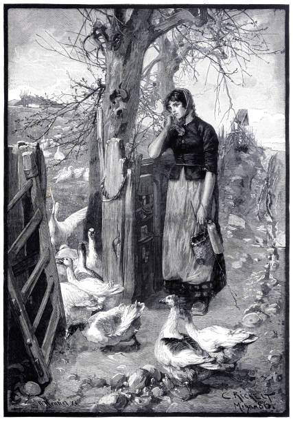 istock Woman in rural scene on farm with goose 1887 2174674812