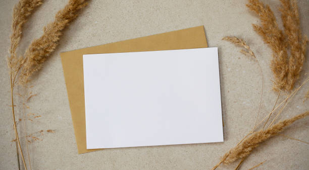 istock Blank white horizontal greeting card, golden envelope and dry grass on beige textured background. 2174675498