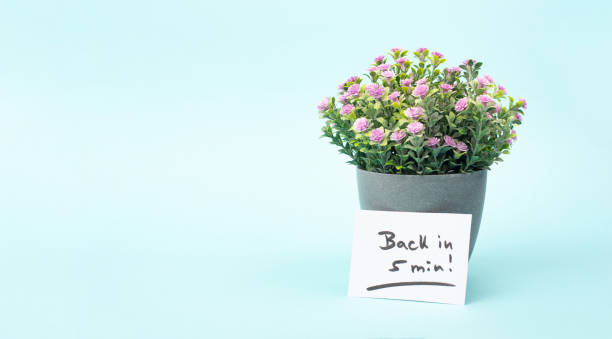 istock Back in 5 min is standing on a paper, message, working break, be right back, office desk with flower pot 2174678529