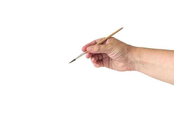 istock Hand holding a painting brush, close-up on a light background, isolate 2174679014