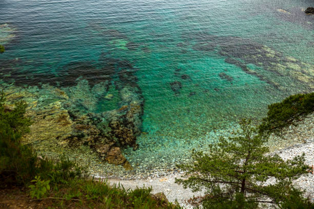 istock A stunning view of the vast ocean from a high cliff with trees 2174679544