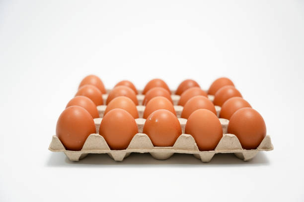 istock A carton of eggs with a white background 2174680962
