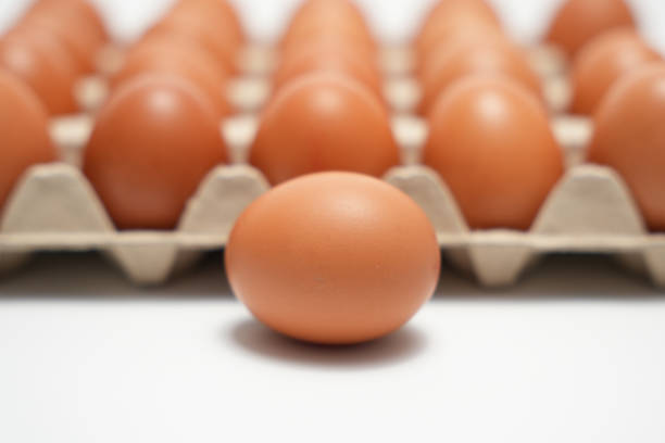 A single egg is placed in the middle of a carton of eggs. The carton is full of eggs, but the single egg stands out as the only one