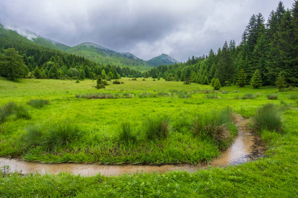 istock Spring of Hron, Horehronie, Low Tatras, Slovakia 2174683066