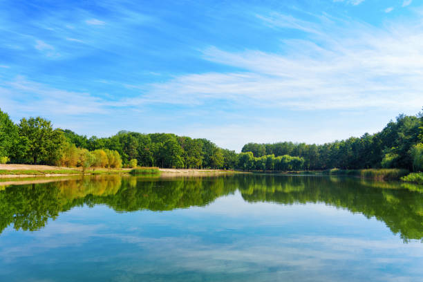 istock Panoramic View of Lake with Lush Trees and Reflective Waters 2174683396
