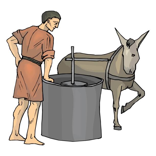 Donkey or mule carrying agave pina heart or pineapple, pulling tahona stone mill wheel. Donkey or mule carrying agave pina heart or pineapple, pulling tahona stone mill wheel vector design illustration mexican mule stock illustrations