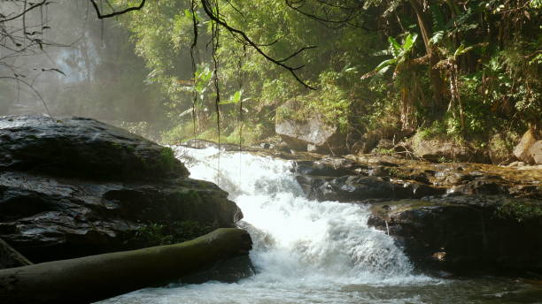 istock Serene waterfall flowing through lush green jungle, with sunlight 2174685963